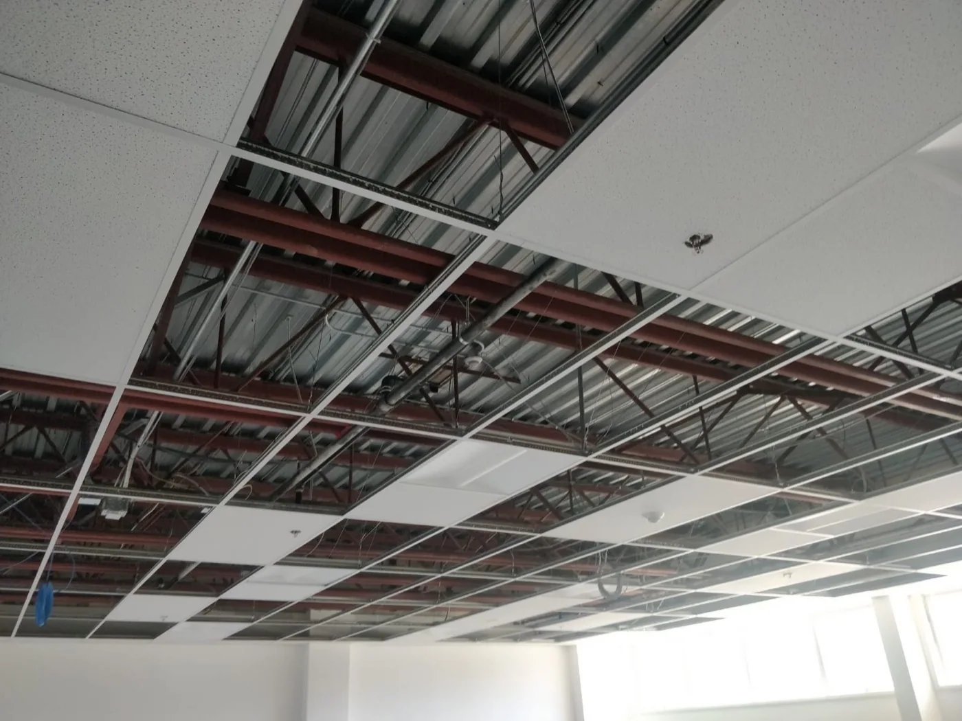 Suspended acoustic ceiling installation